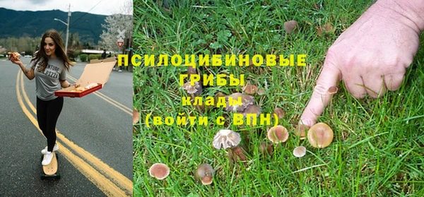 трава Зеленокумск