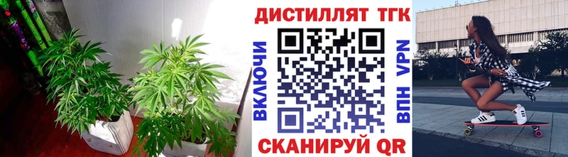 ТГК жижа  Белово 