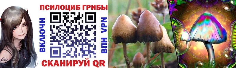 Псилоцибиновые грибы ЛСД  Белово 